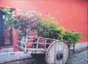 "Modern Antigua" by Barbara Schaefer   Honorable Mention