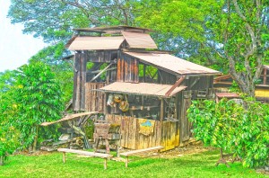 "Uchida's Coffee Mill", Enhanced Photo by Sam Cudney