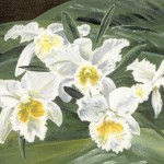 "White Orchids"  Acrylic by Merna Joan Watta