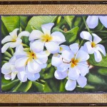 "Nohea Plumeria" watercolor by Carolyn Harper