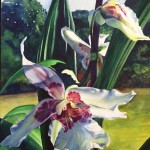 "Glacier Green Orchid"  watercolor by Carolyn Lancaster