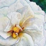 "Gardenia Closeup" watercolor by Julie McCue