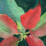 "Poinsettia Closeup"  watercolor by Julie McCue