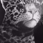 "Black Jaguar"  oil by Bill Bishop