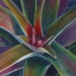 "Budding Pineapple" watercolor by Carolyn Lancaster