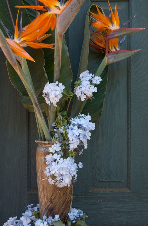 1240599_10151813331266037_2141443856_n