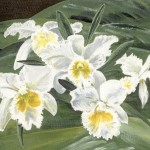 "White Orchids" Acrylic by Merna Joan Watta